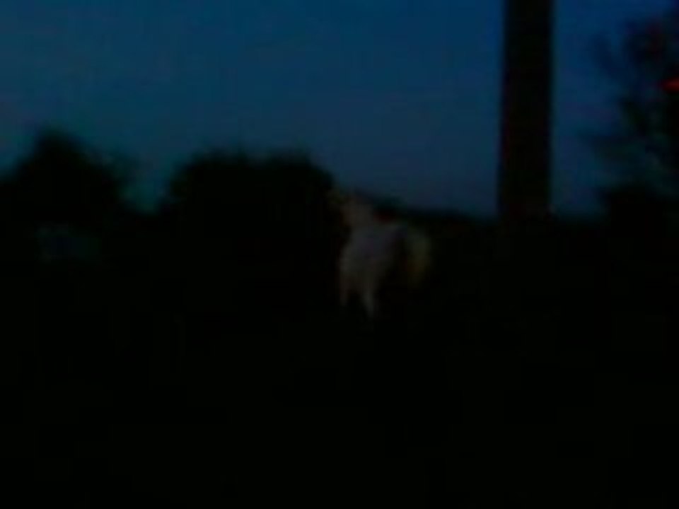 Pétage de plombs de Katanga n°2