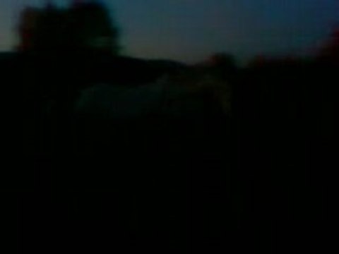 Pétage de plombs n°3 Kantanga