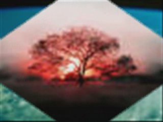 Sormayın Halimi Orhan BÖRÇEK(Ozan YESARİ) Şiir