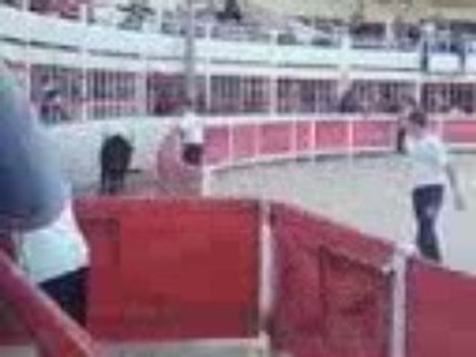 Vidéo-0005