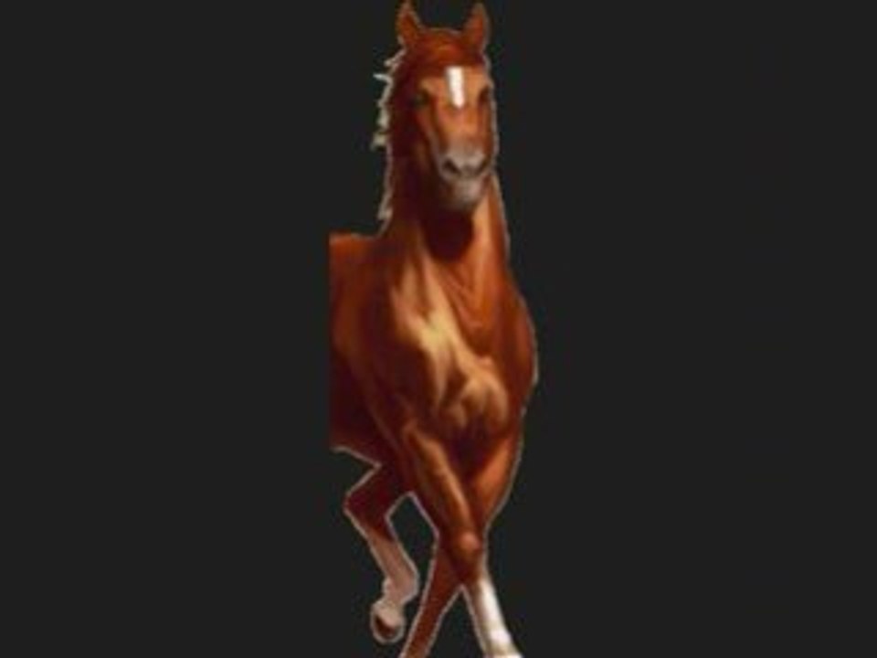 Nos chevaux sur Equidéow