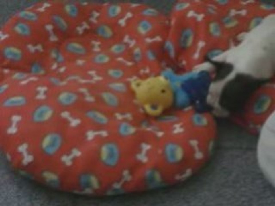 Cassy :D