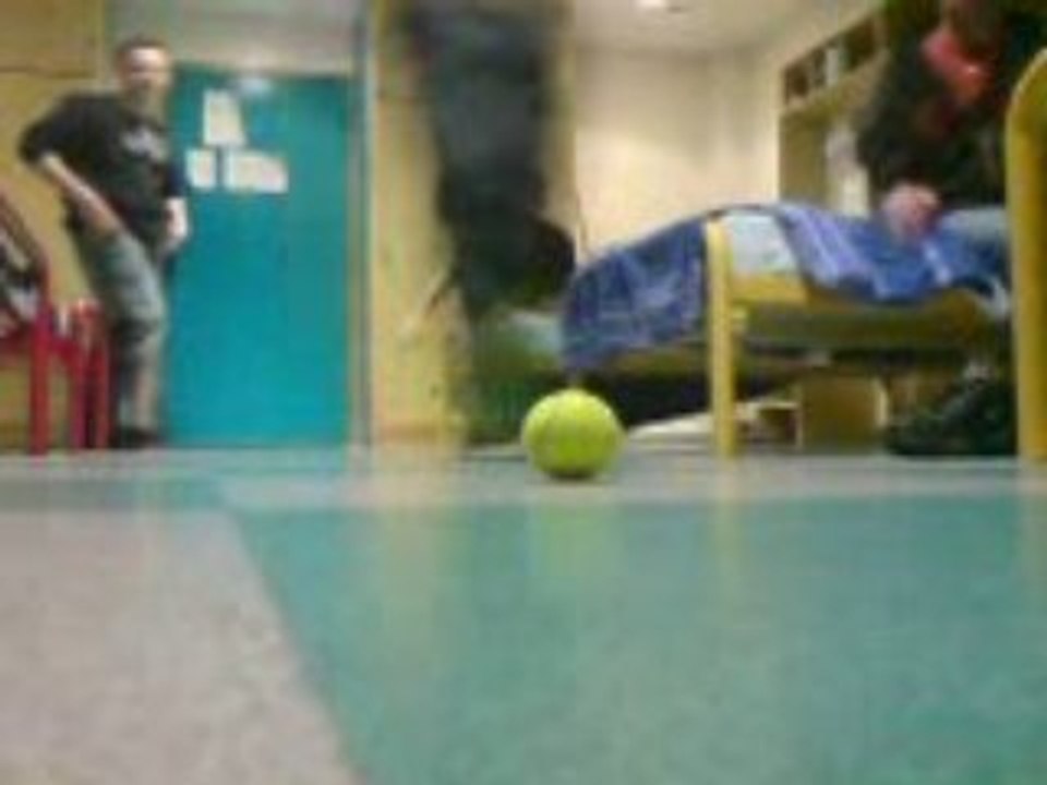 Petanque tennis