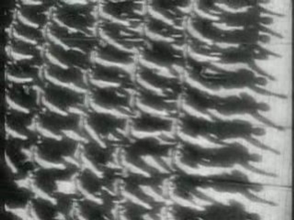 La marseillaise clip
