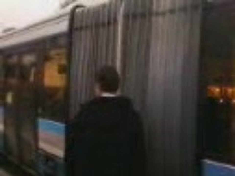 bus