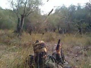 Délires Airsoft