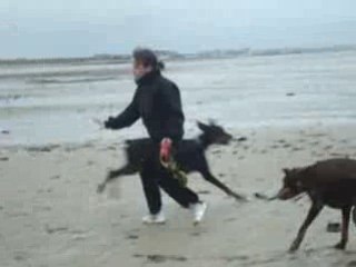 Les  premiers pas de Vuitton à la plage