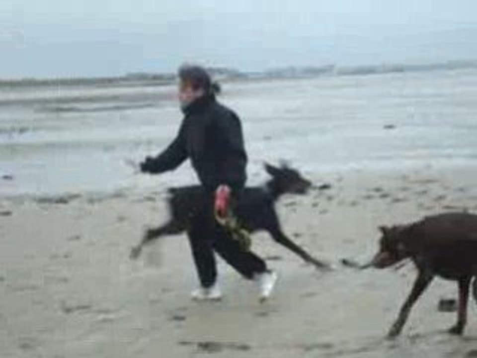 Les  premiers pas de Vuitton à la plage