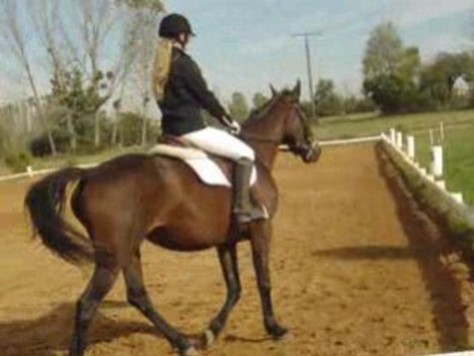 reprise dressage Quita et Léonie (CCE club2 de Lathus)