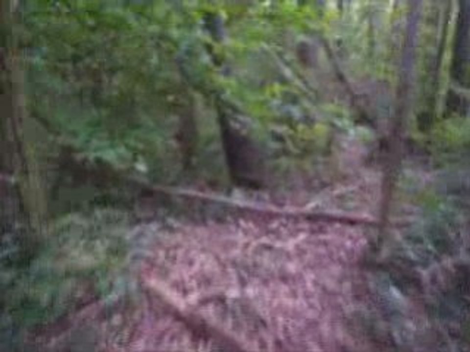 Quad sur sentier SMC 250