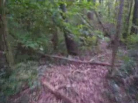 Quad sur sentier SMC 250