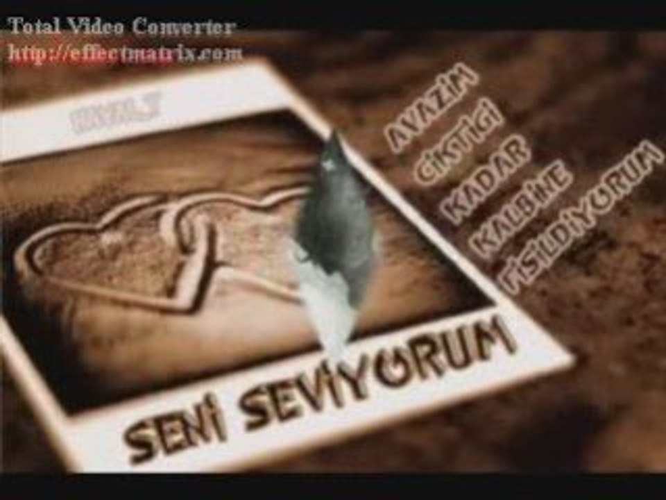 Gönül erhan