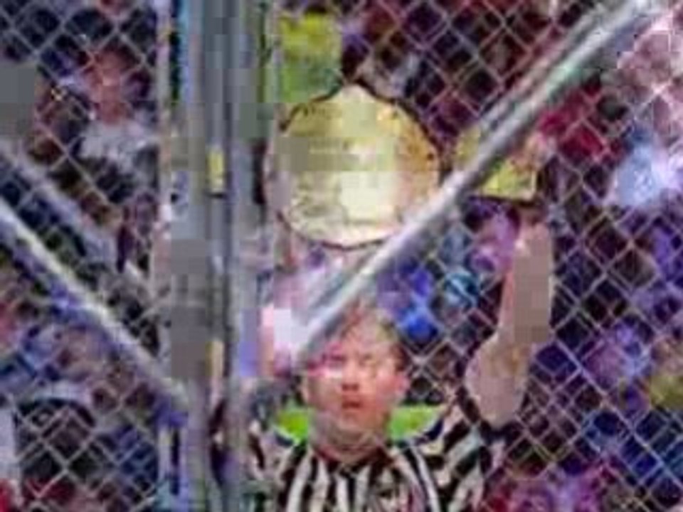 Raw 11/3/08 Batista vs Chris Jericho (Steel Cage)