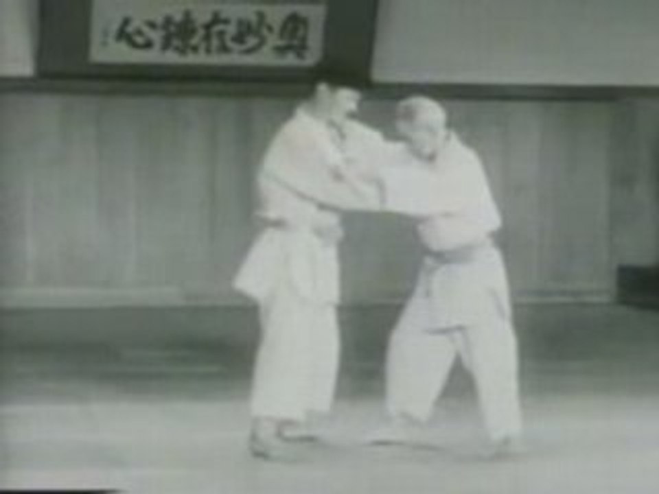 Hane Goshi