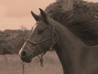 Razak - Mardi 28 octobre 2008