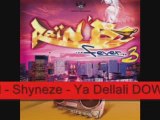 Cheb billal - Shyneze - Ya Dellali RAIN'B FEVER 3 DJ KORE