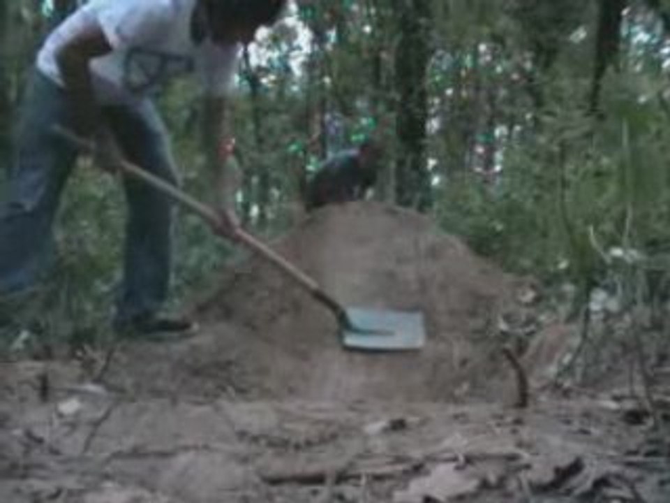 teaser forêt