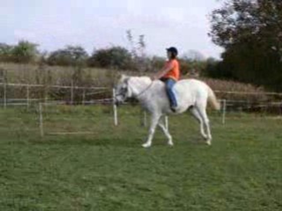 Cara et moi à cru au galop ...
