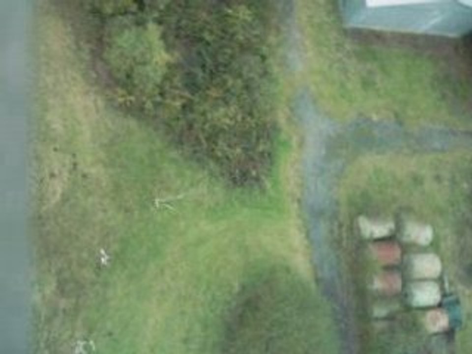 VIDEO0003