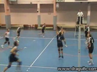 Volley-ball masculin