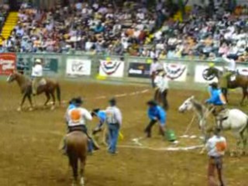 Rodeo 3