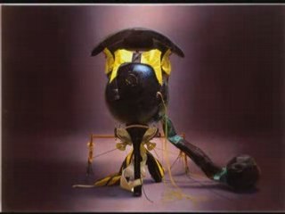 Italics a Palazzo Grassi