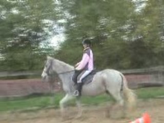 dressage avec sheitan