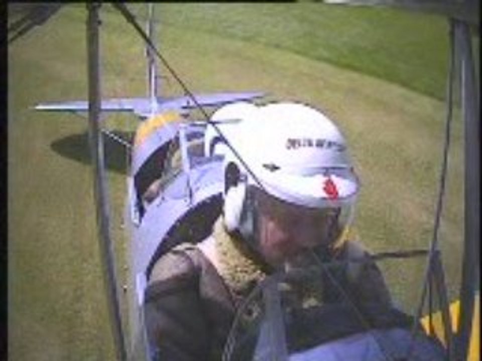 Tiger Moth