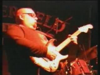 Popa Chubby - If It Feels Like Love