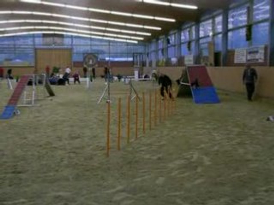 Boostie et Vanessa agility équipe