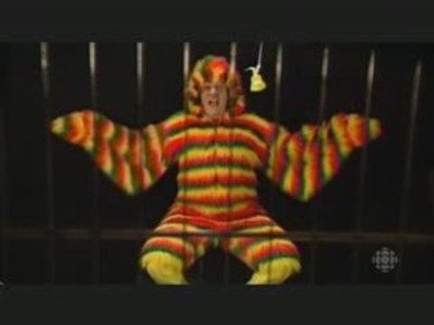 Le perroquet et le stress - 3600 secondes d'extase