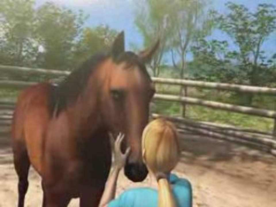 Ellen Whitaker's Horse Life