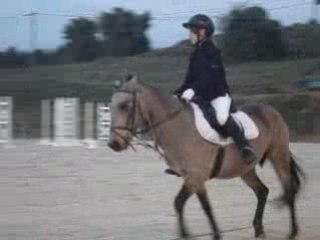 Moi et Ecume reprise de dressage