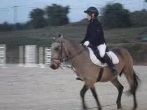 Moi et Ecume reprise de dressage
