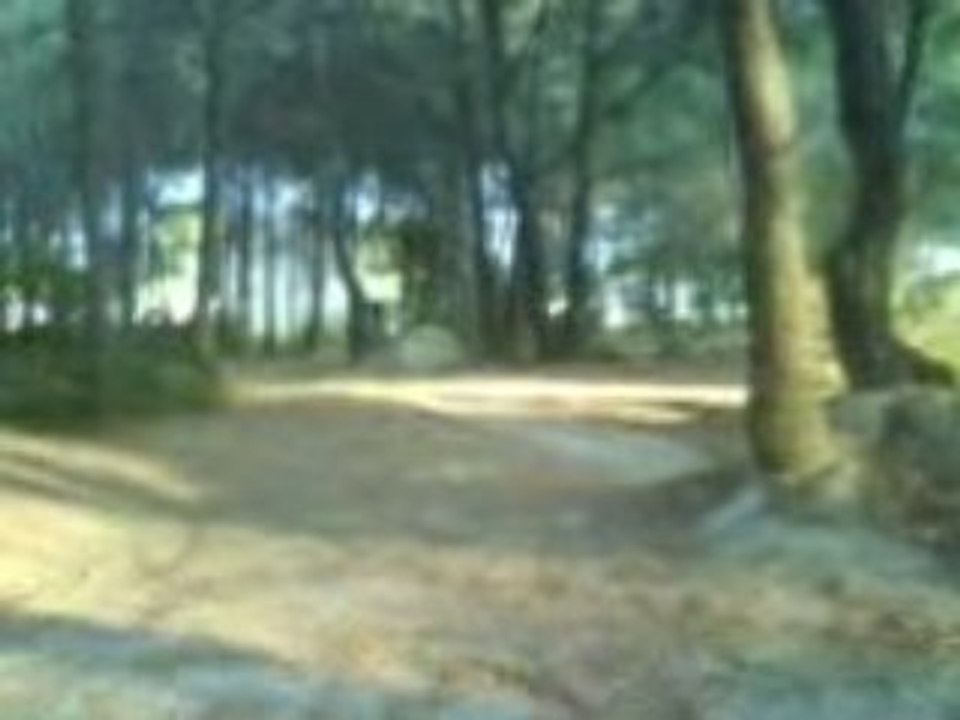 Session dirt space 2