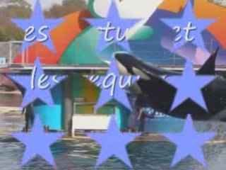 marineland