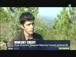 Lutté contre la chenille processionnaire