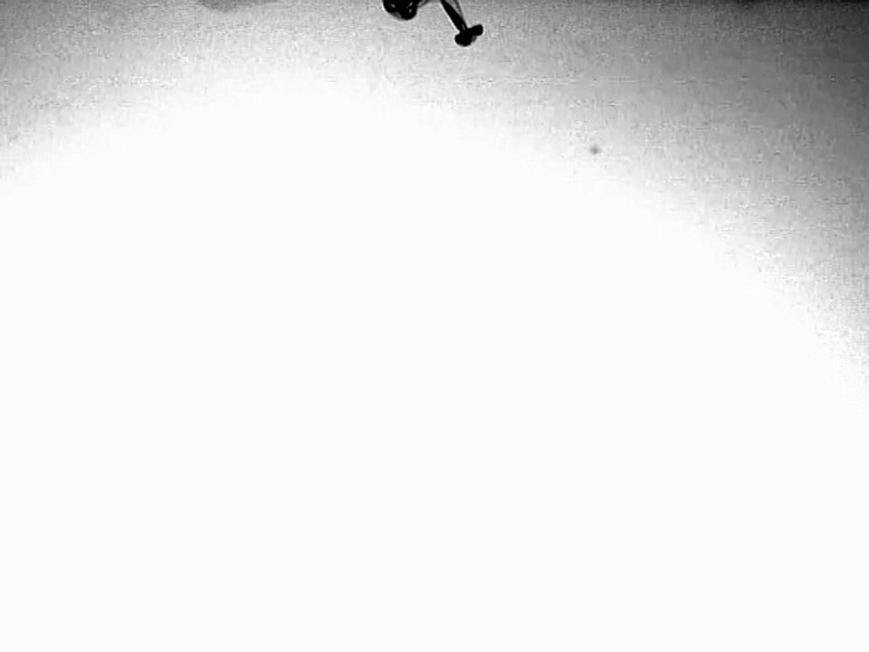 Chasser le monde
