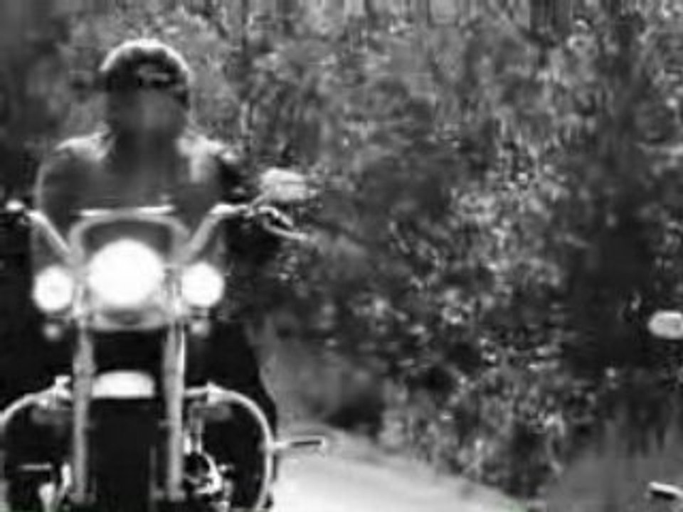 Harley davidson