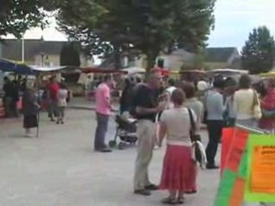 Canton de Salignac (partie 3)