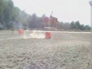 Kingston CSO: 10-Year-Old Hongre for Major Events 🐎