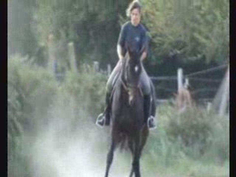 Epaules en dedans, têtes au mur, appuyers