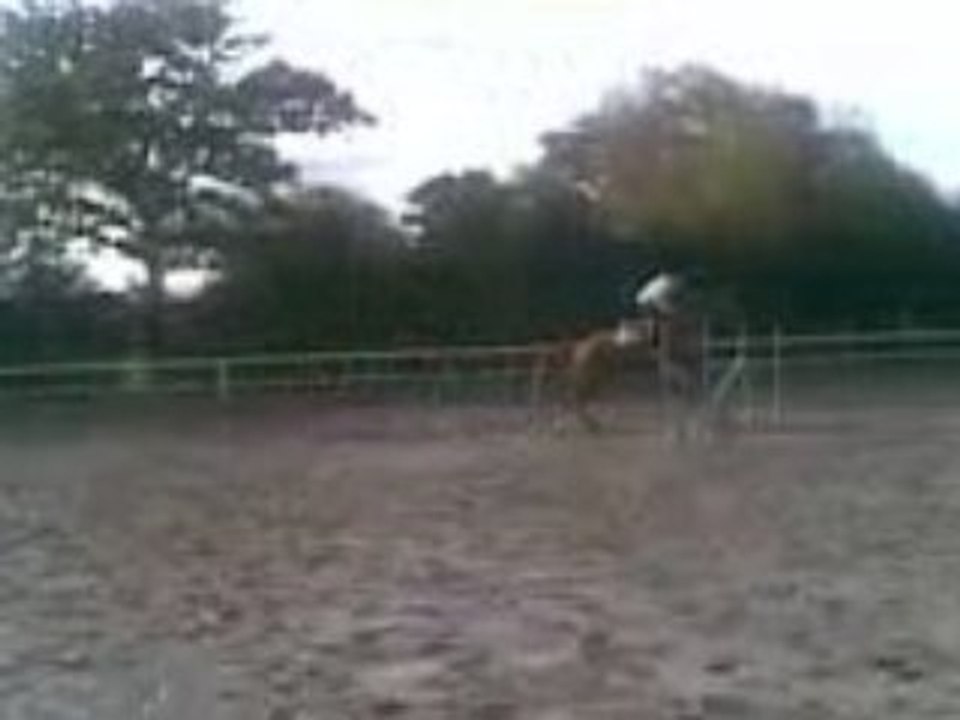 CHACHA et son cour d'equitation