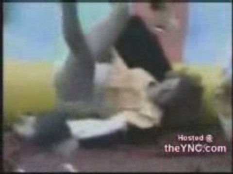 les bétises des femmes en marche arriere mdr