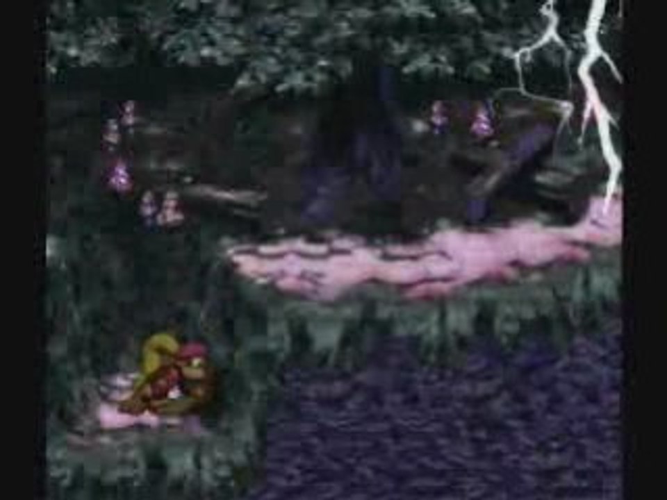 Donkey Kong Country 3 walkthrough 14_les tonneaux fous
