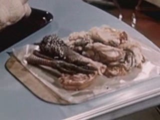 How Modern Industrial Farming Made Americans Eating Turkey!