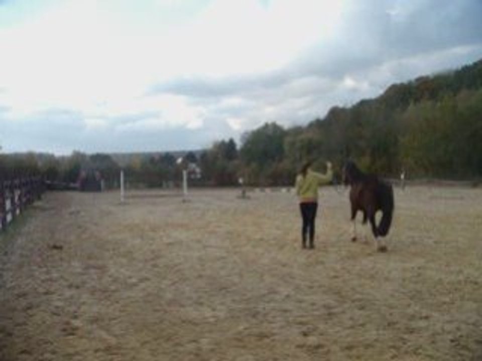 Vinnie parcours obstacle foireux en main