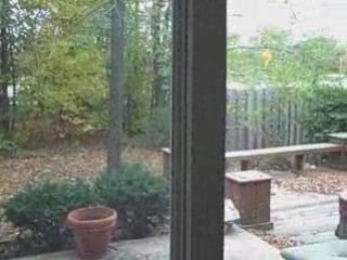 13066 Fleetwood Carmel, Indiana For Rent or Rent to Own