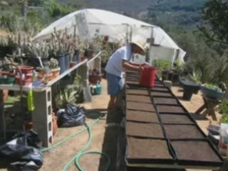 HOLLYWOOD DIET SECRECTS lose weight fast and Hoodia Gordonii