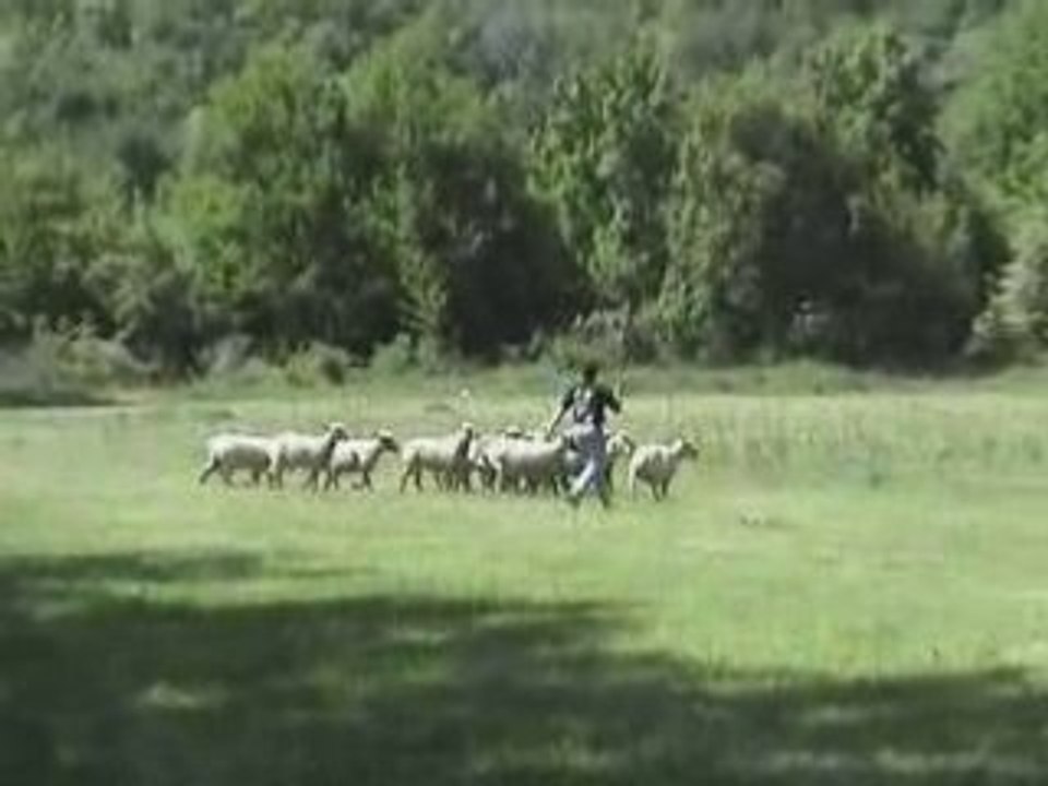 CACCBT25.05.06